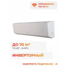 Electrolux Viking 2.0 DC EACS/I-24HVI/N8